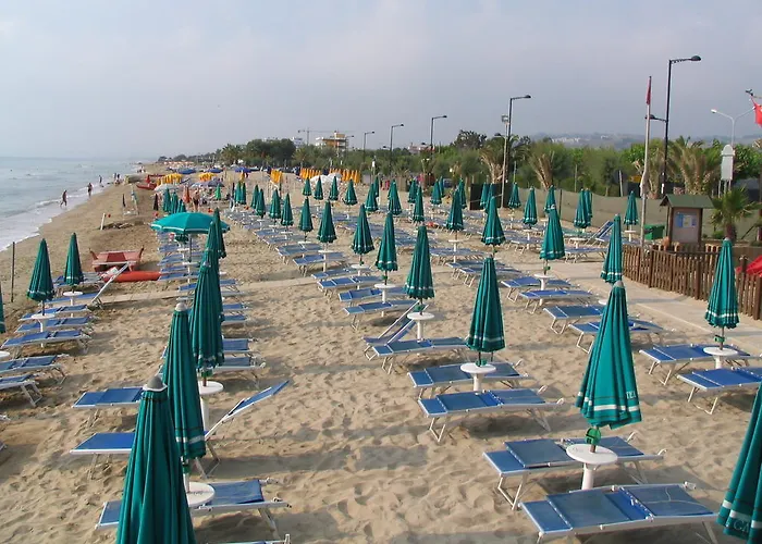 Galf マルティンシクーロ